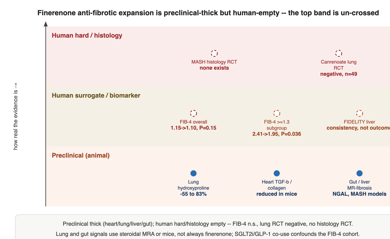 Finerenone anti-fibrotic expansion is preclinical-thick but human-empty -- the top band is un-crossed