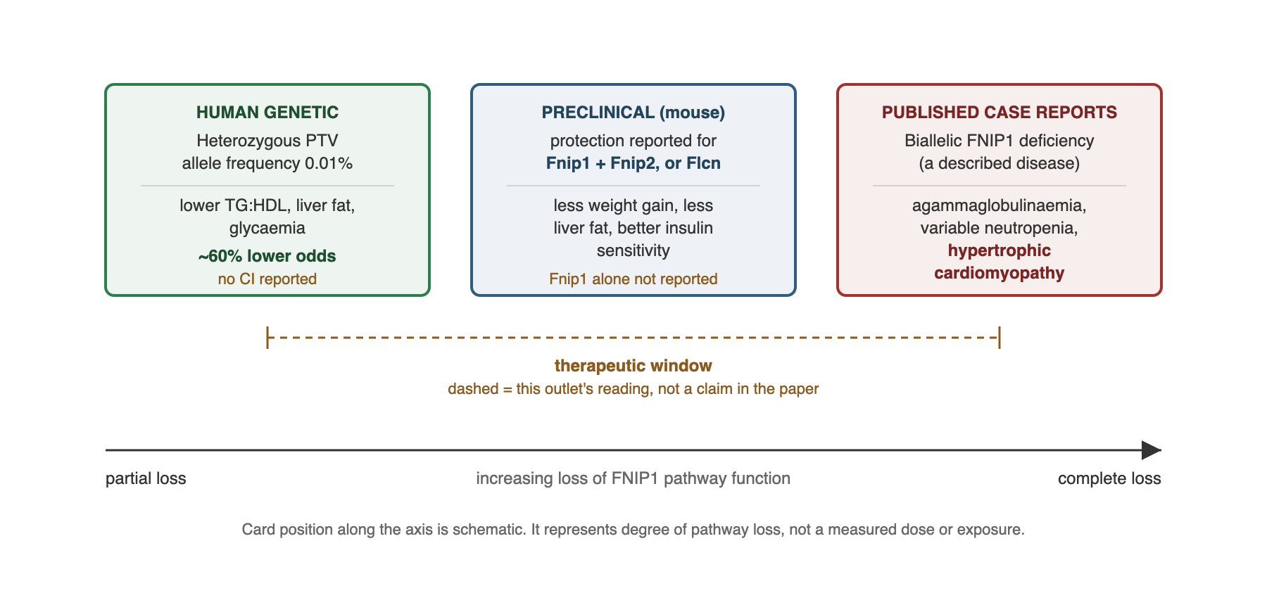 Evidence along the FNIP1 pathway inhibition axis, from partial loss to complete loss. A horizontal axis representing increasing loss of FNIP1 pathway function, from partial on the left to complete on the right, with three evidence cards placed along it. Left card, labelled human genetic association: heterozygous ultra-rare protein-truncating variants at allele frequency 0.01 percent, associated with lower TG to HDL ratio, lower liver fat, lower glycaemia, and about 60 percent lower odds of cardiometabolic disease, with no confidence interval reported. Middle card, labelled preclinical: in mice the protective phenotype was reported for hepatic knockdown of Fnip1 together with its paralogue Fnip2, or for knockdown of the interactor Flcn, giving less weight gain, less liver fat and better insulin sensitivity. Right card, labelled published case reports: biallelic FNIP1 deficiency in humans is a described disease featuring agammaglobulinaemia, variable neutropenia and hypertrophic cardiomyopathy. A dashed bracket spanning the gap between the left and right cards is labelled as the therapeutic window, and is marked as this outlet's reading rather than a claim made by the paper.