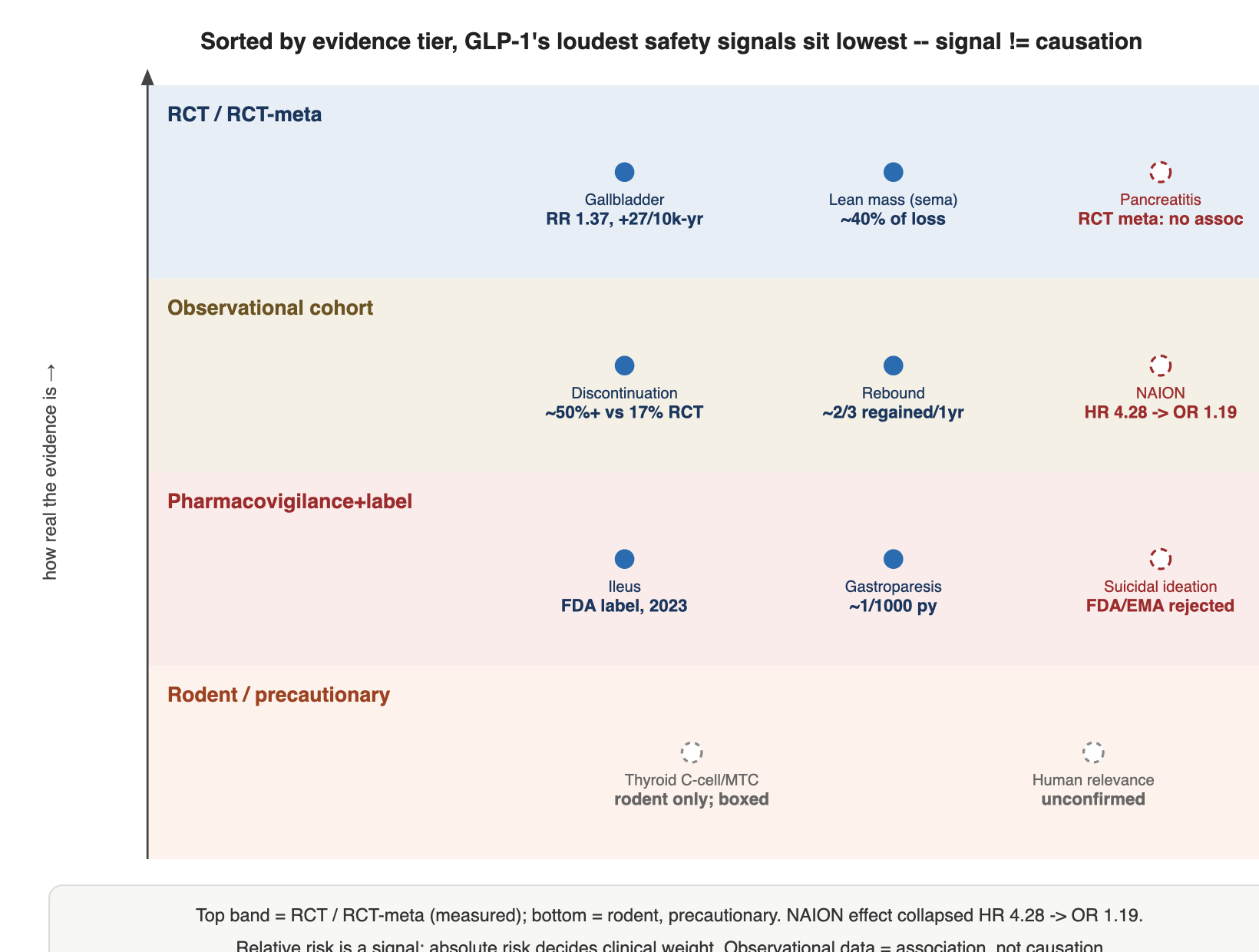 Self-authored from the post's evidence-tier x regulatory-verdict tables: gallbladder RR 1.37 (76-RCT meta, on label); pancreatitis RCT meta, no association; lean mass ~40% of loss in STEP 1 (sema); discontinuation ~50%+ vs 17.1% in RCTs; NAION HR 4.28 (Hathaway 2024, JAMA Ophthalmology) collapsing to population OR 1.19, EMA PRAC 'very rare'; ileus on FDA label (2023); suicidal ideation FDA/EMA rejected; thyroid C-cell rodent-only boxed warning, human relevance unconfirmed. Bands rank evidence realness, not severity; signal existence is not causal confirmation. Not a buy/sell signal (NVO, LLY, AMGN).