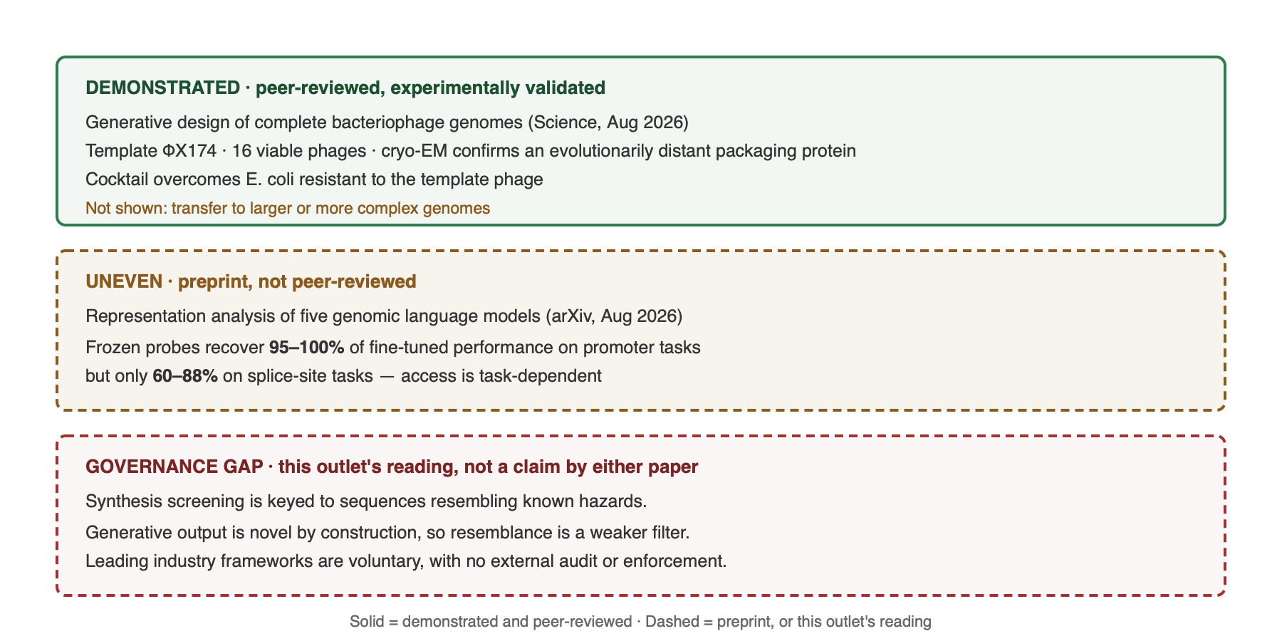 What one week showed about genome language models: capability, unevenness, and a governance gap. Three stacked bands. The top band, drawn solid, is labelled demonstrated and peer-reviewed: generative design of complete bacteriophage genomes published in Science in August 2026, using the phage Phi X 174 as a template, yielding 16 viable phages, with cryo-electron microscopy confirming an evolutionarily distant DNA packaging protein and a cocktail overcoming resistant E. coli. The middle band, drawn dashed, is labelled preprint, not peer-reviewed: a representation analysis of five genomic language models finding that frozen probes recover 95 to 100 percent of fine-tuned performance on promoter tasks but only 60 to 88 percent on splice-site tasks, showing that access to encoded information is task-dependent. The bottom band, drawn dashed in red, is labelled this outlet's reading rather than a claim by either paper: synthesis screening regimes are keyed to sequences that resemble known hazards, whereas generative output is novel by construction, and the main existing industry frameworks are voluntary with no external audit.
