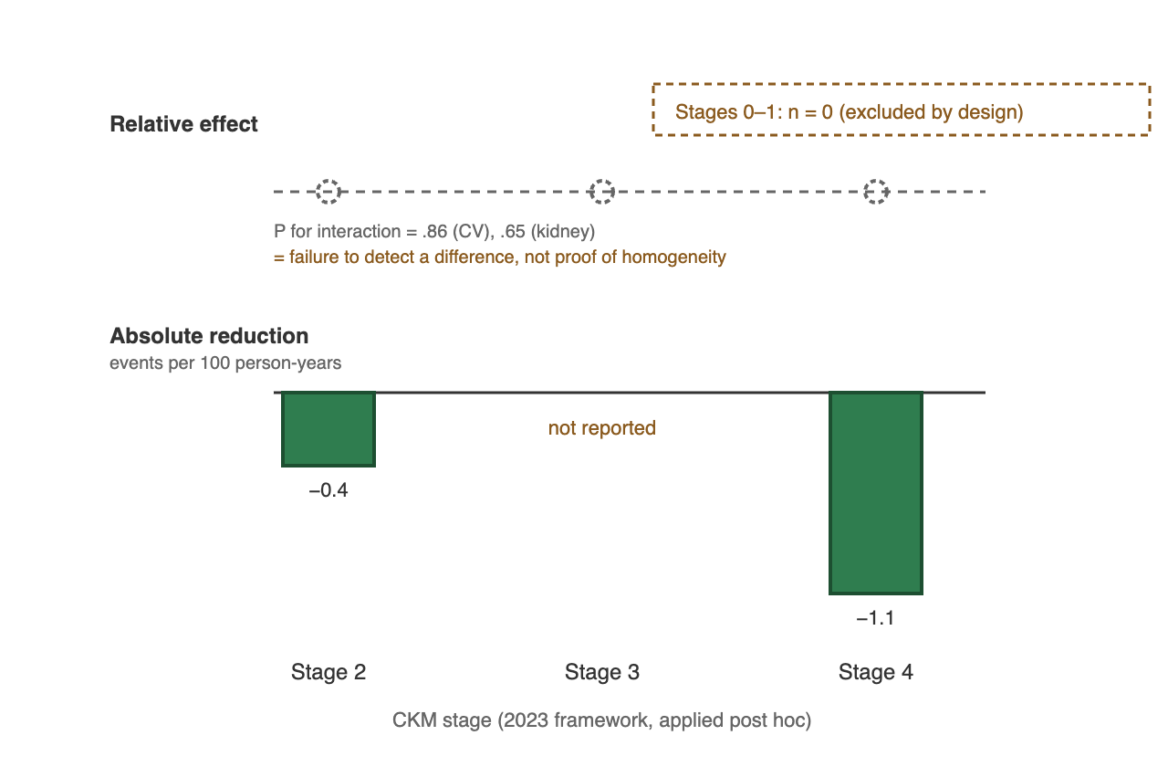 Relative effect flat across CKM stages while absolute reduction scales with baseline risk. Two stacked panels sharing a horizontal axis of CKM stage 2, stage 3 and stage 4. The upper panel shows the relative treatment effect as a flat dashed horizontal line with hollow markers at each stage, annotated that the interaction test returned P equals 0.86 for cardiovascular and 0.65 for kidney endpoints, and that this represents failure to detect a difference rather than proof of homogeneity. The lower panel shows absolute rate reduction in events per 100 person-years as downward bars: stage 2 shows minus 0.4 and stage 4 shows minus 1.1, while stage 3 is marked not reported because no value was published for that stratum. A boxed note records that CKM stages 0 and 1 are absent from this trial population entirely, with zero participants by design, so nothing in this chart extrapolates to them.