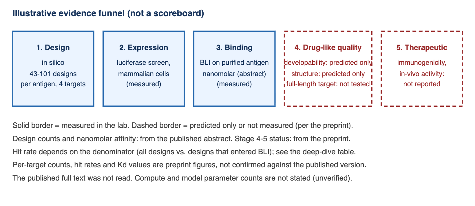 Evidence tiers for Germinal: what was measured and what was not. Left-to-right schematic of five stages. Stages 1 to 3 are drawn with solid borders: computational design with 43 to 101 designs per antigen on four targets, expression screening, and binding measurement with nanomolar affinities per the abstract. Stages 4 and 5 are drawn with dashed borders and marked not measured in the preprint: developability, structure and full-length target binding, and immunogenicity, in-vivo activity and therapeutic use.